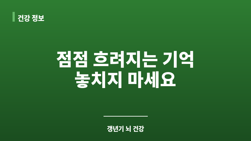 갱년기 인지 기능 저하 보조 이미지