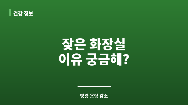 방광 용량 감소 보조 이미지 방광 용량 감소 보조 이미지
