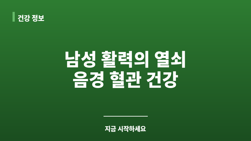 음경 혈관 건강 보조 이미지