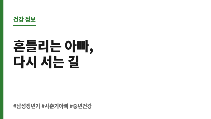 사춘기대 아빠 갱년기 보조 이미지