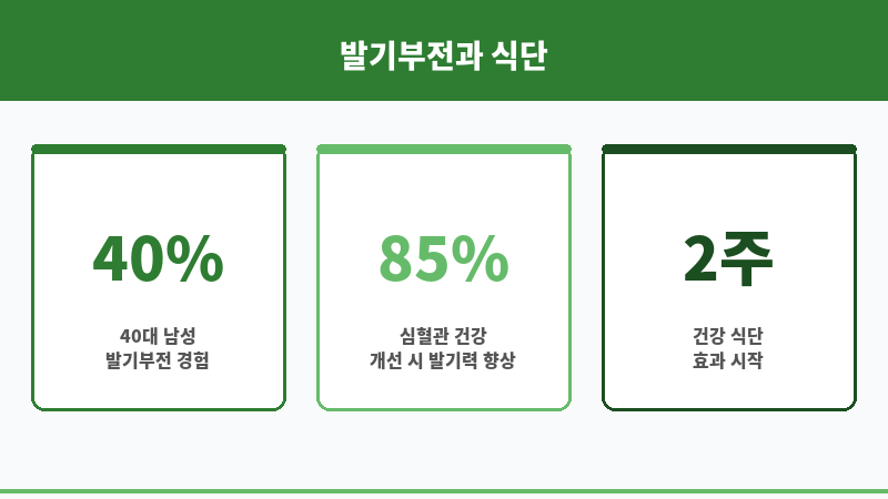 발기부전 식단 보조 이미지 발기부전 식단 보조 이미지
