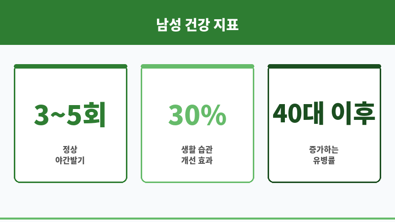 발기부전 야간발기 보조 이미지 발기부전 야간발기 보조 이미지