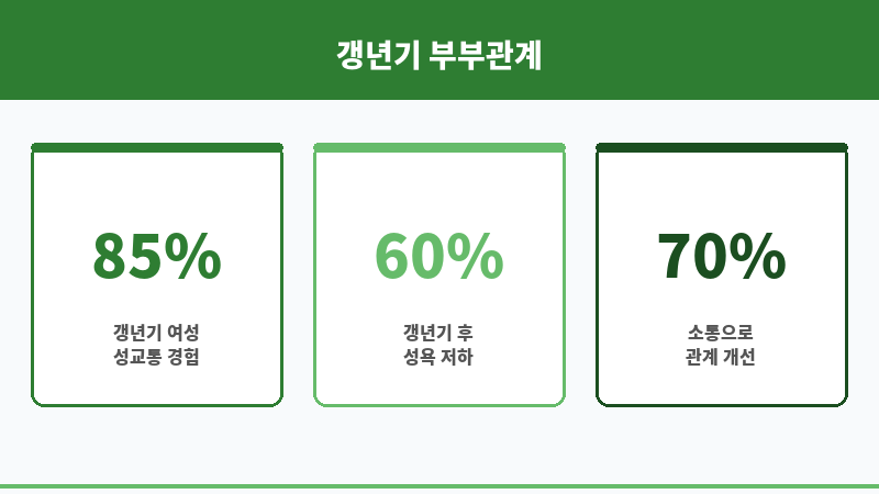 갱년기 부부관계 보조 이미지