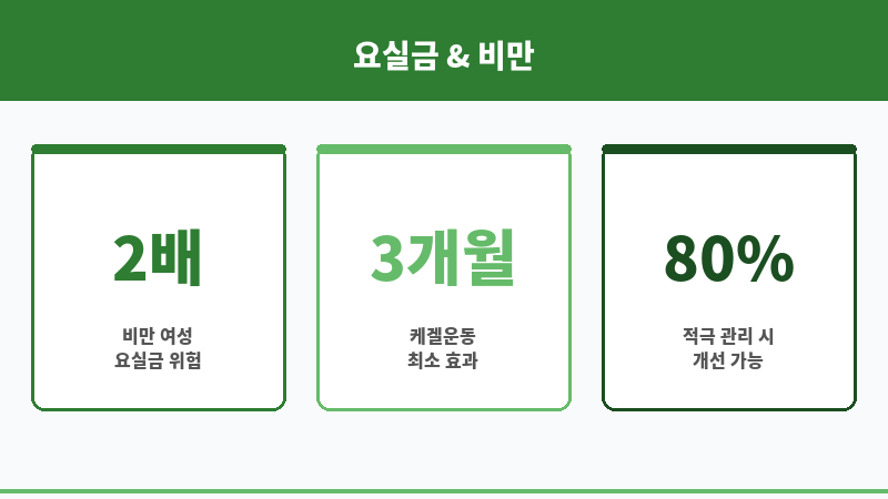 복압성 요실금 비만 보조 이미지