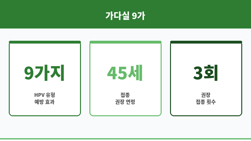 가다실 9가 남자 40대 보조 이미지