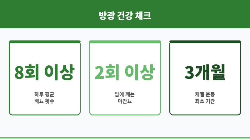 방광 용량 감소 보조 이미지 방광 용량 감소 보조 이미지