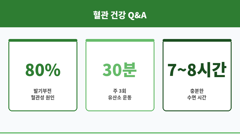 음경 혈관 건강 보조 이미지