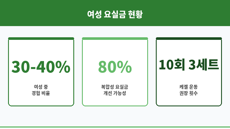 노인요실금증세 보조 이미지