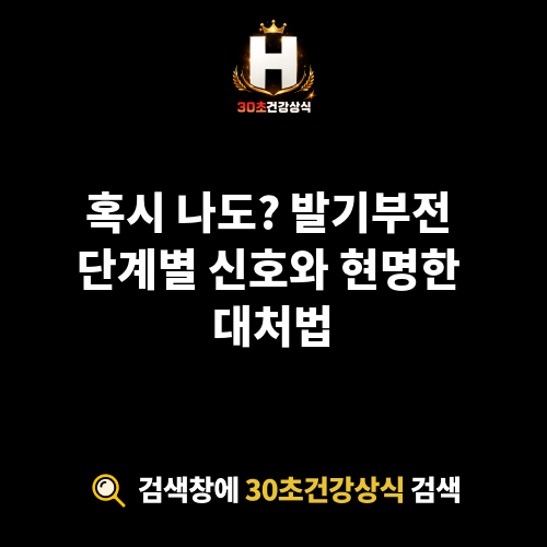 발기부전 단계