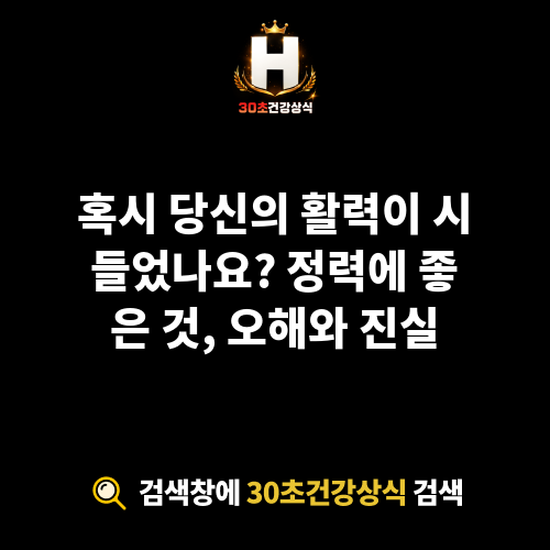 정력에 좋은 것