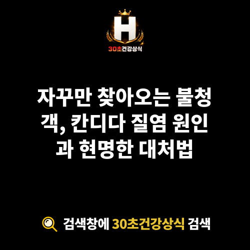 칸디다 질염 원인